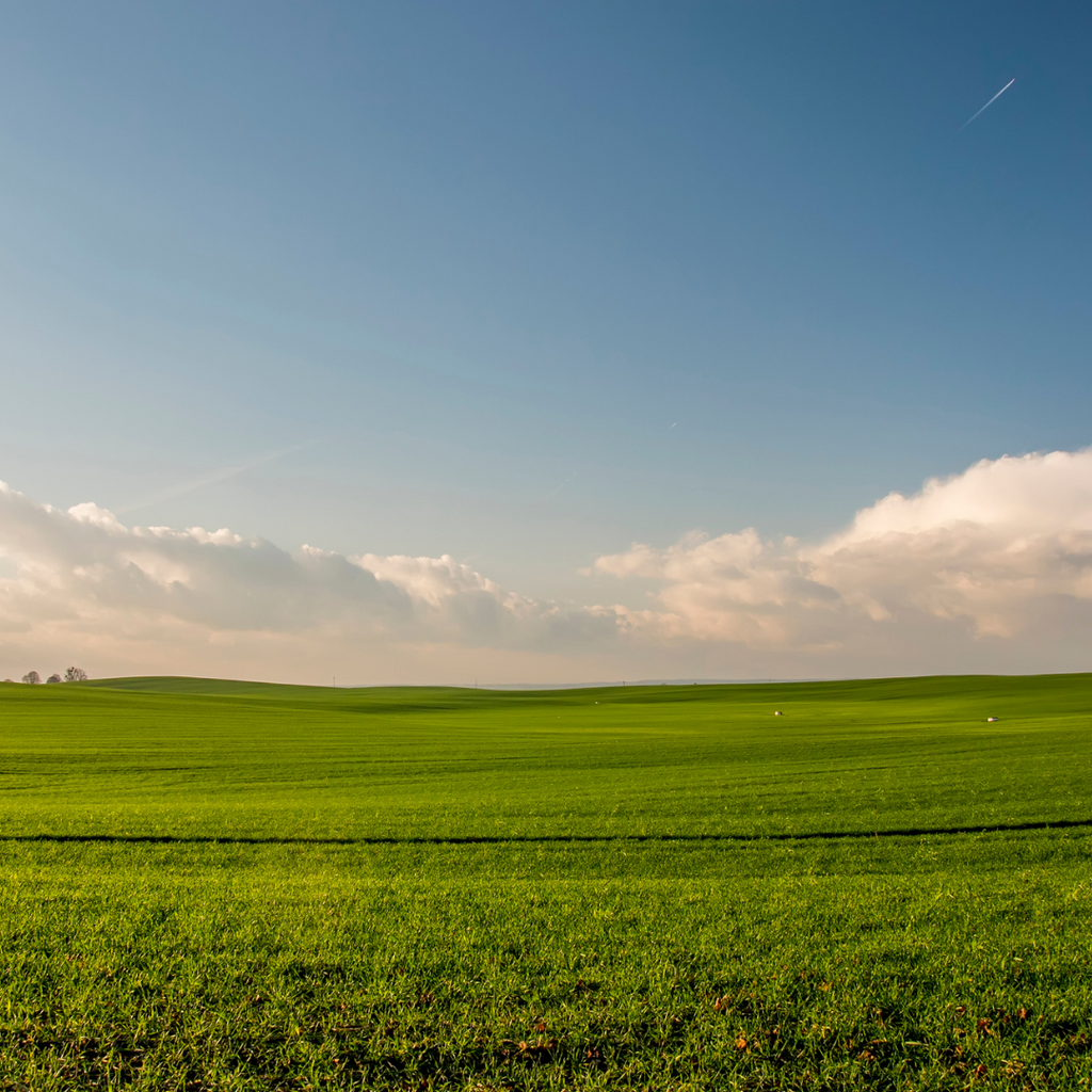 Minister Must Not Let Generational Renewal Slip Out Of Focus For Environmental Ambition
